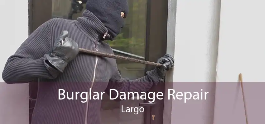 Burglar Damage Repair Largo