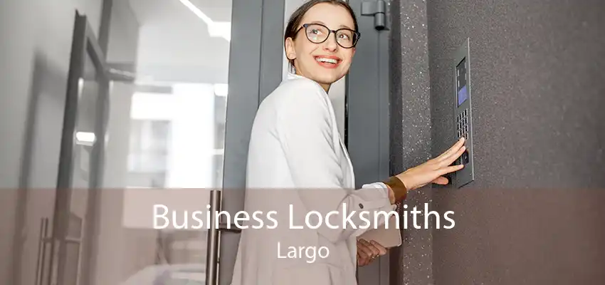 Business Locksmiths Largo