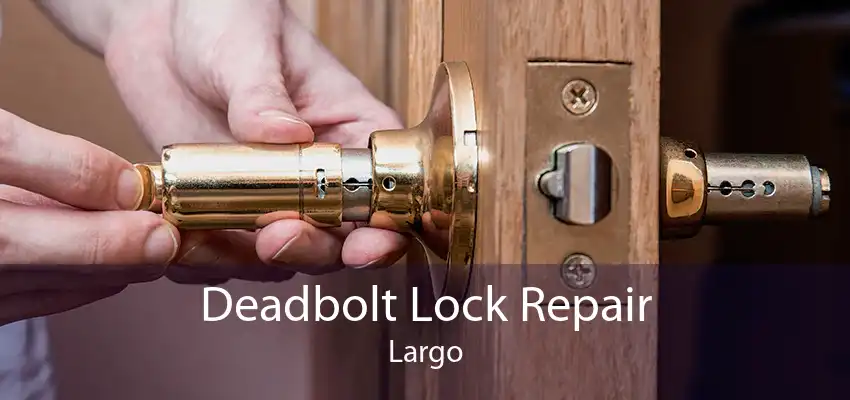 Deadbolt Lock Repair Largo