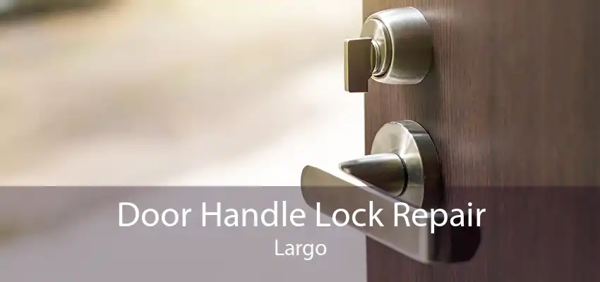 Door Handle Lock Repair Largo