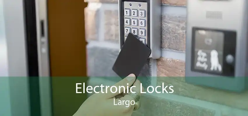 Electronic Locks Largo
