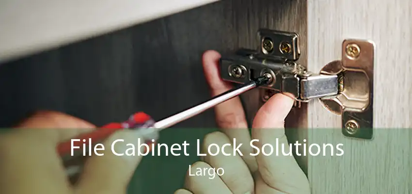 File Cabinet Lock Solutions Largo