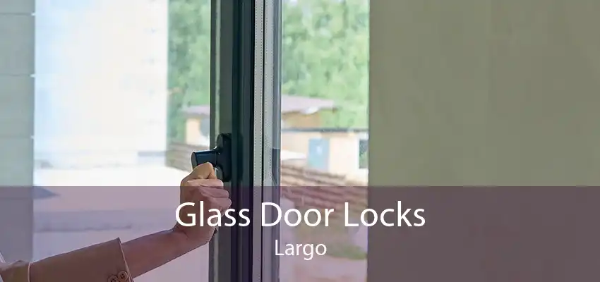 Glass Door Locks Largo