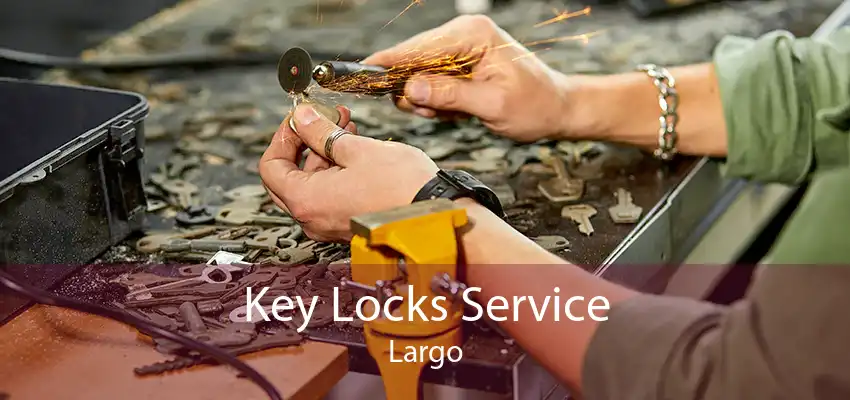 Key Locks Service Largo