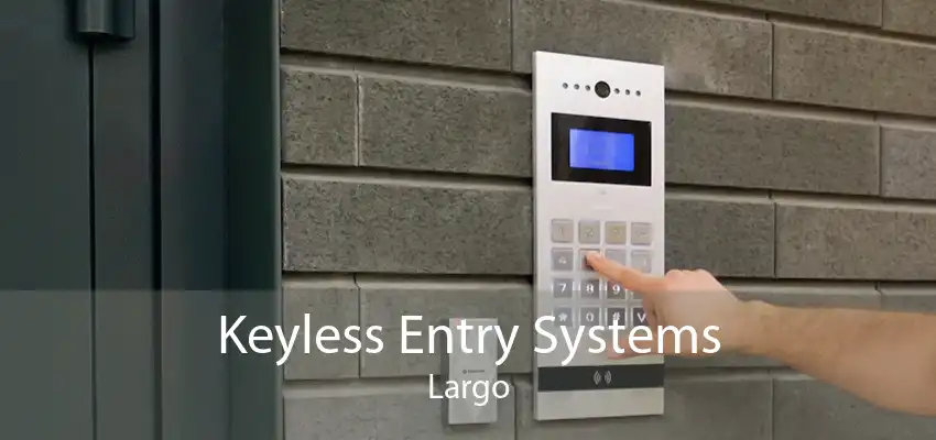 Keyless Entry Systems Largo