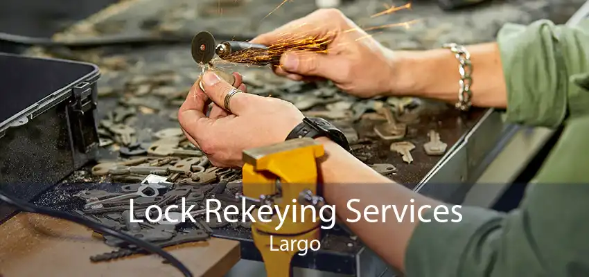 Lock Rekeying Services Largo