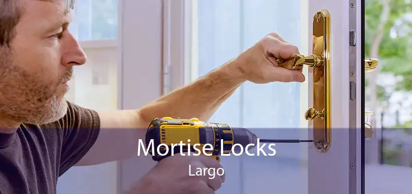 Mortise Locks Largo