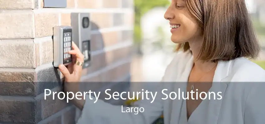 Property Security Solutions Largo