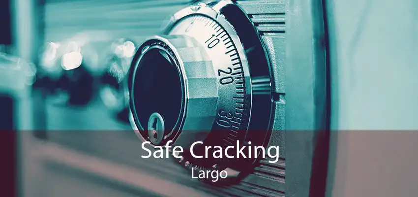 Safe Cracking Largo