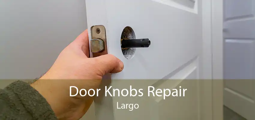 Door Knobs Repair Largo